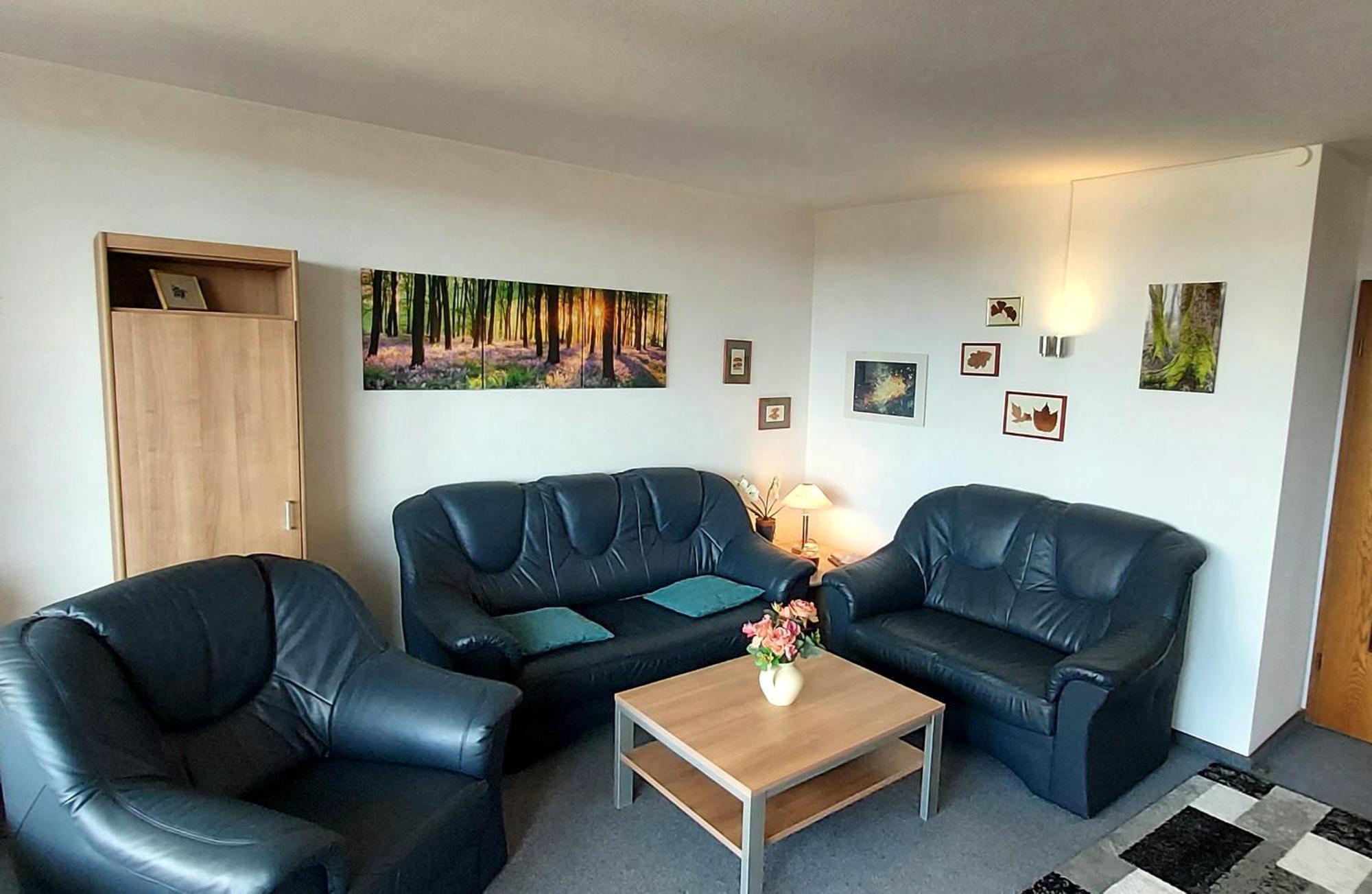 Panoramic Apartments Hohegeiß Rum bild