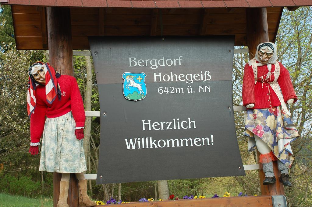 Panoramic Apartments Hohegeiß Exteriör bild